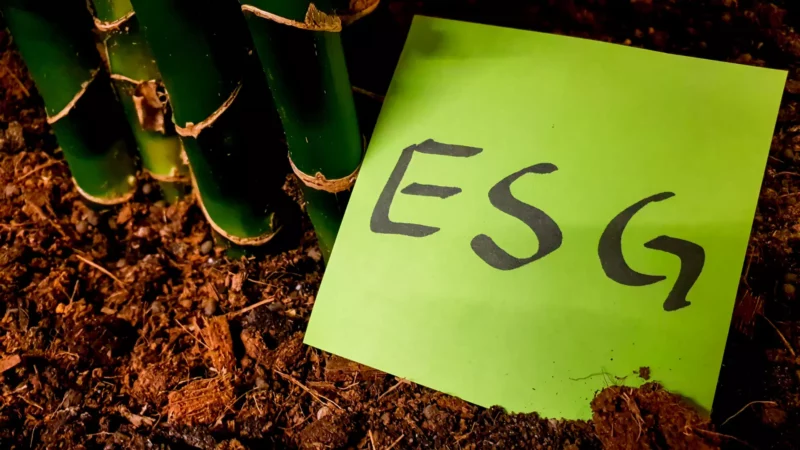 O que é ESG? Environmental, Social and Governance